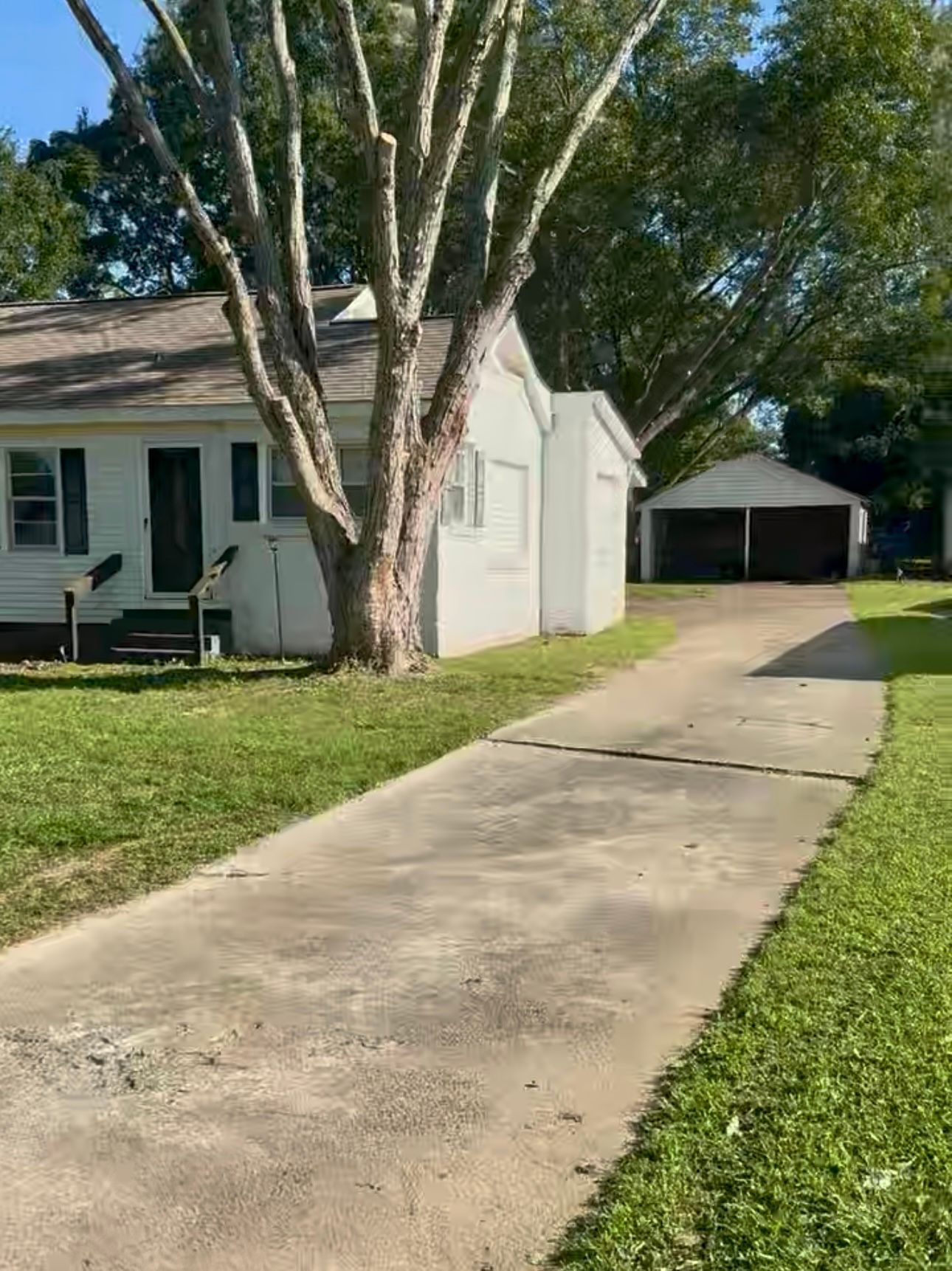 Suburban house with a long concrete driveway, large tree, and detached garage under a clear sky
