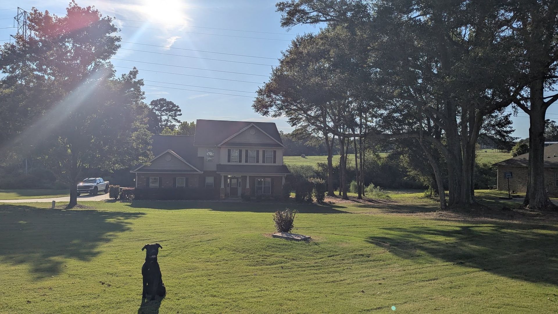 Sunlit house with large trees and a grassy yard, with two dogs in the foreground.
