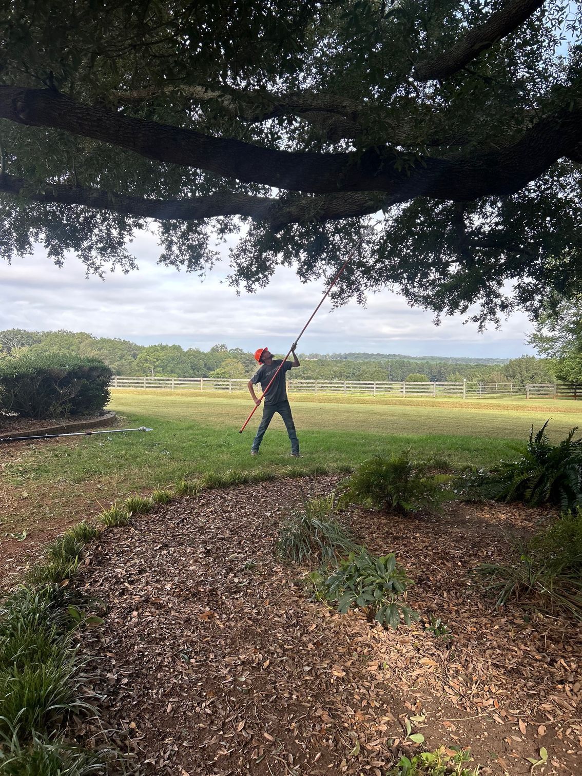 Person swinging a golf club on a grassy course under a large tree, with open fields in the background
