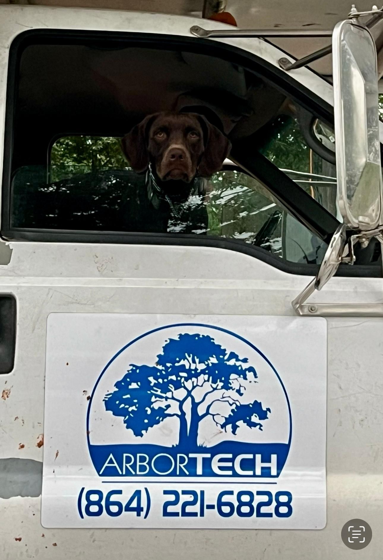 Dog sitting in a white ArborTech truck cab with a blue logo and phone number on the door