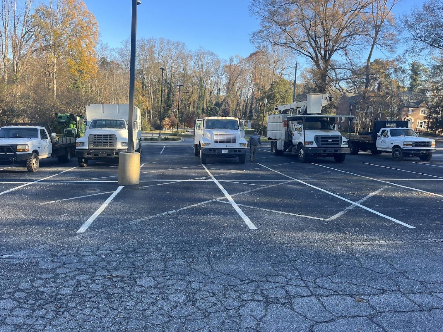 Parked trucks and vans in an empty lot with white parking lines and trees in the background