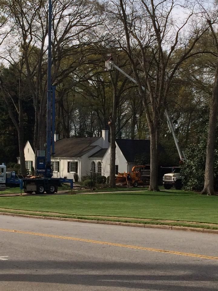White house with dark roof among tall trees beside a road, with a truck and lawn in front