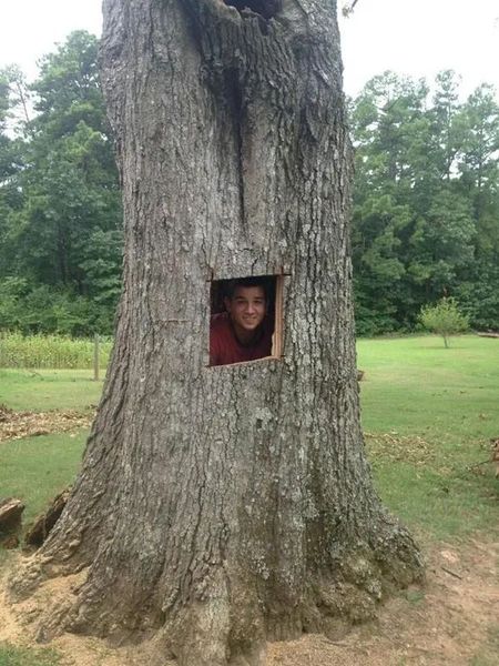 Person smiling through a square opening in a large tree trunk in a grassy field.