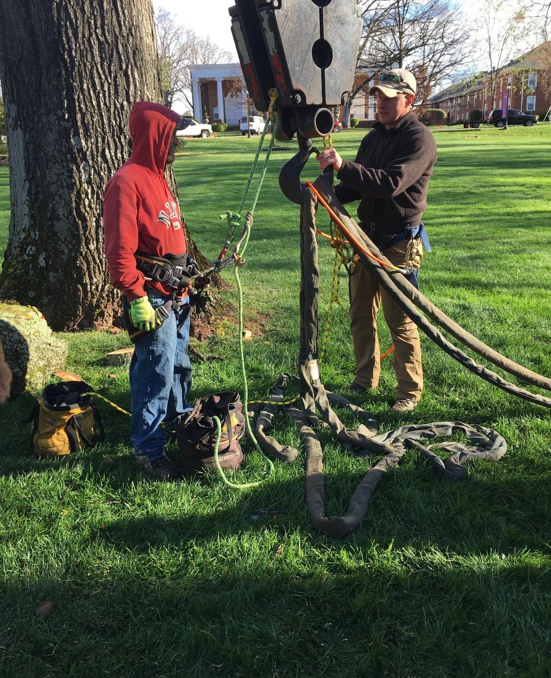 Two people wearing safety harnesses stand on a grassy lawn near ropes and a tree stump.