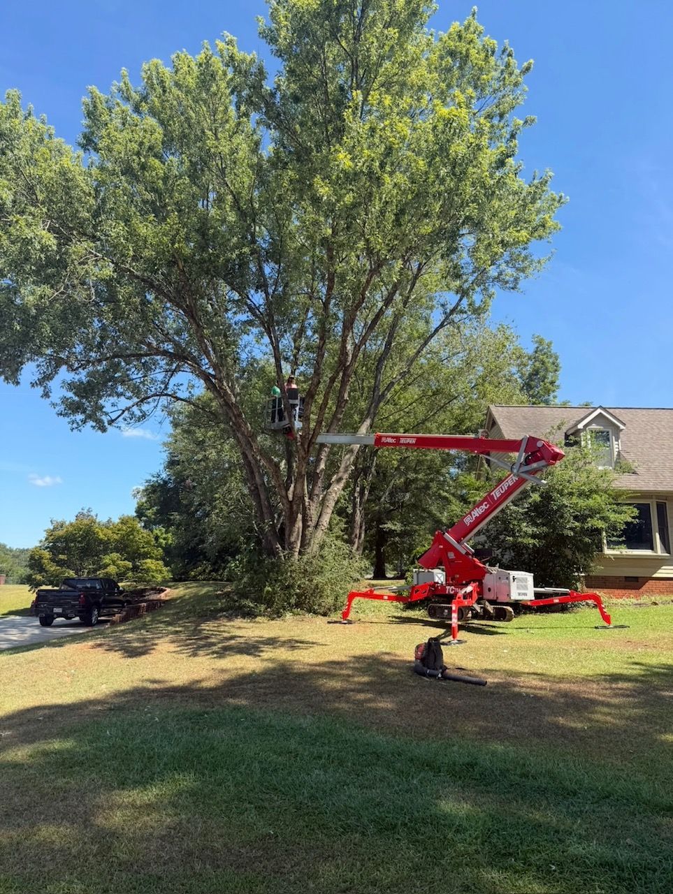 Tree trimming lift beside a large tree and house in a sunny suburban yard