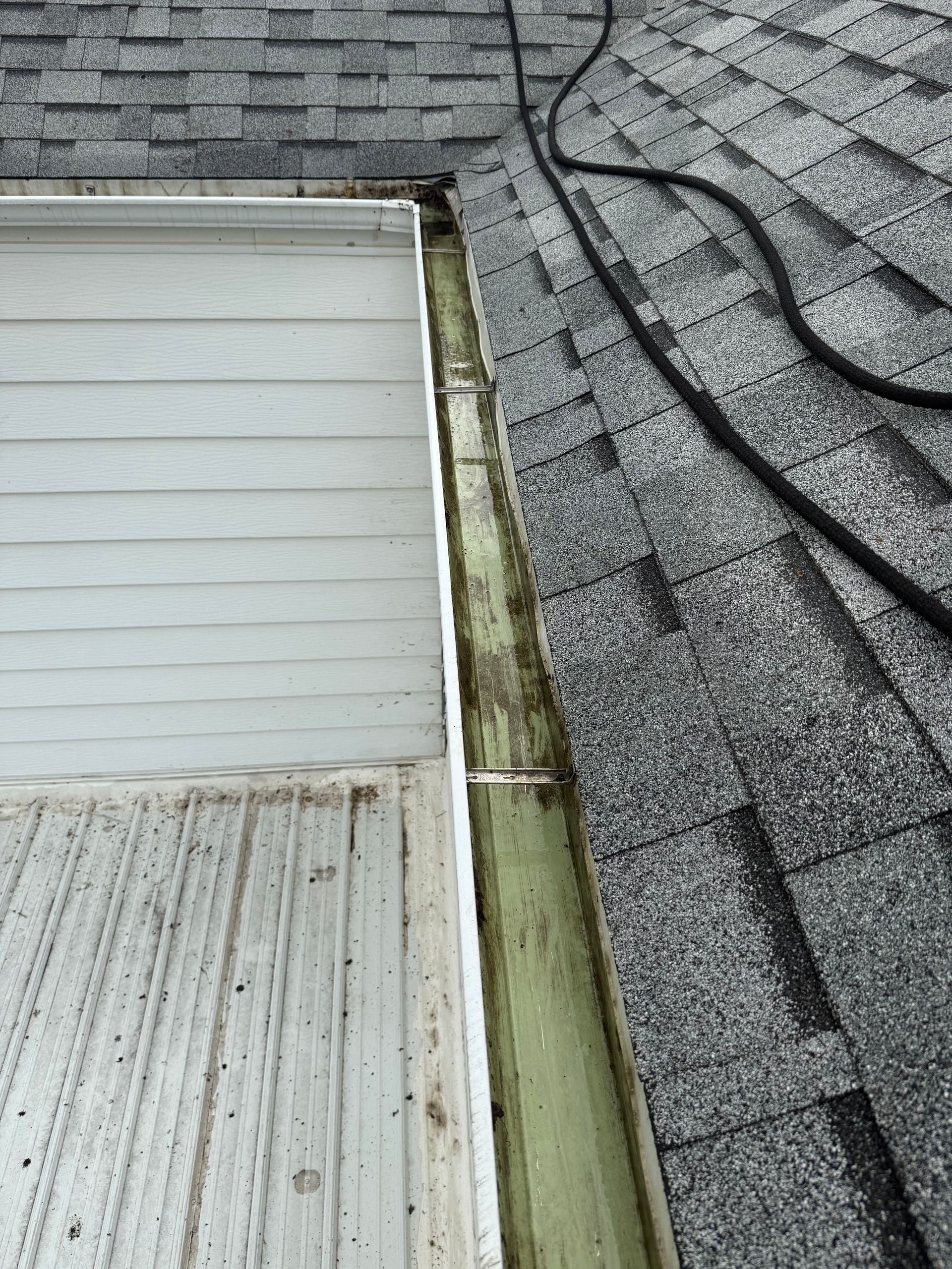 Gutter filled with debris next to a white clapboard wall and asphalt shingle roof.