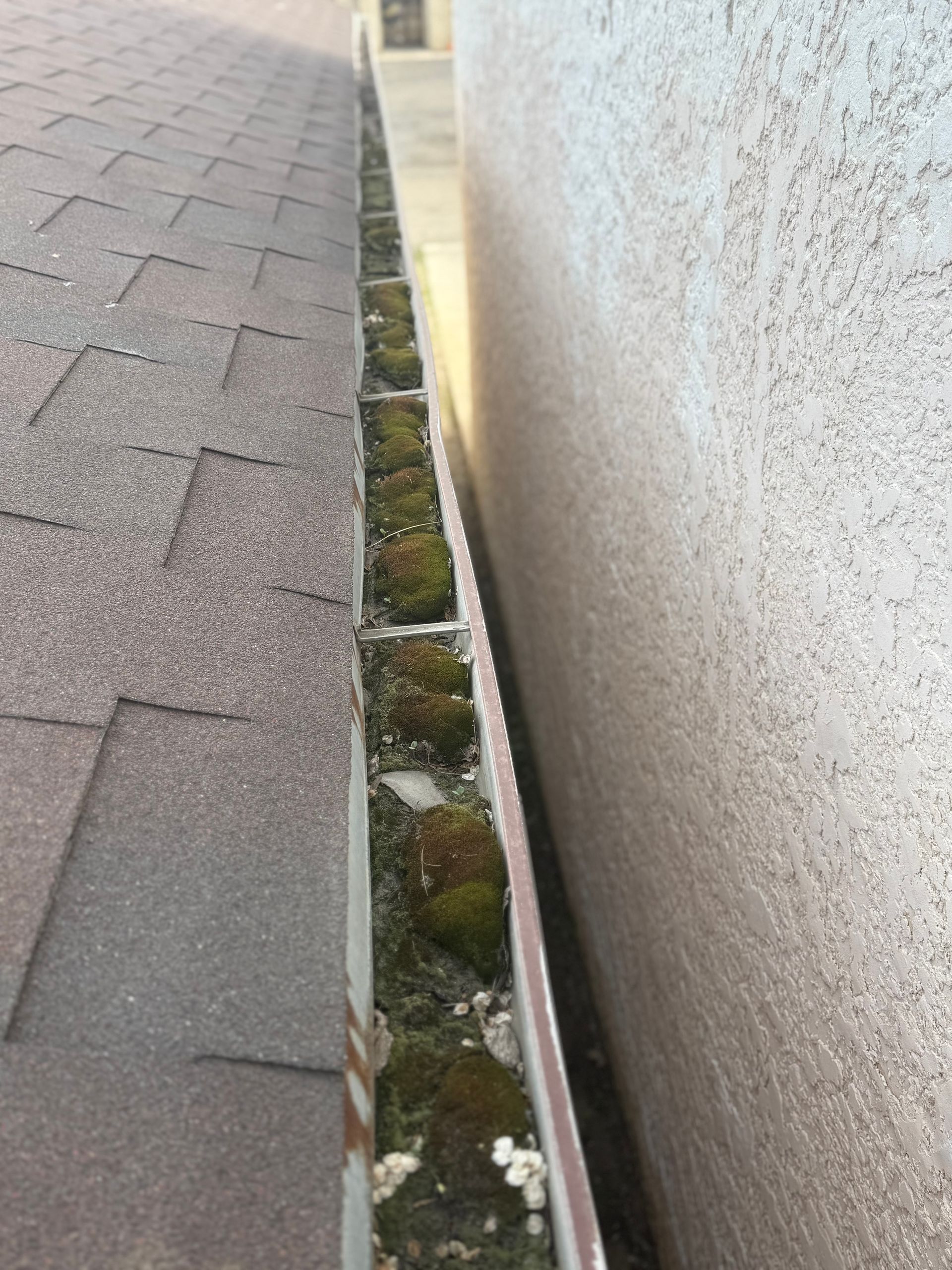 Gutter filled with moss and debris next to a wall and roof covered in brown shingles.