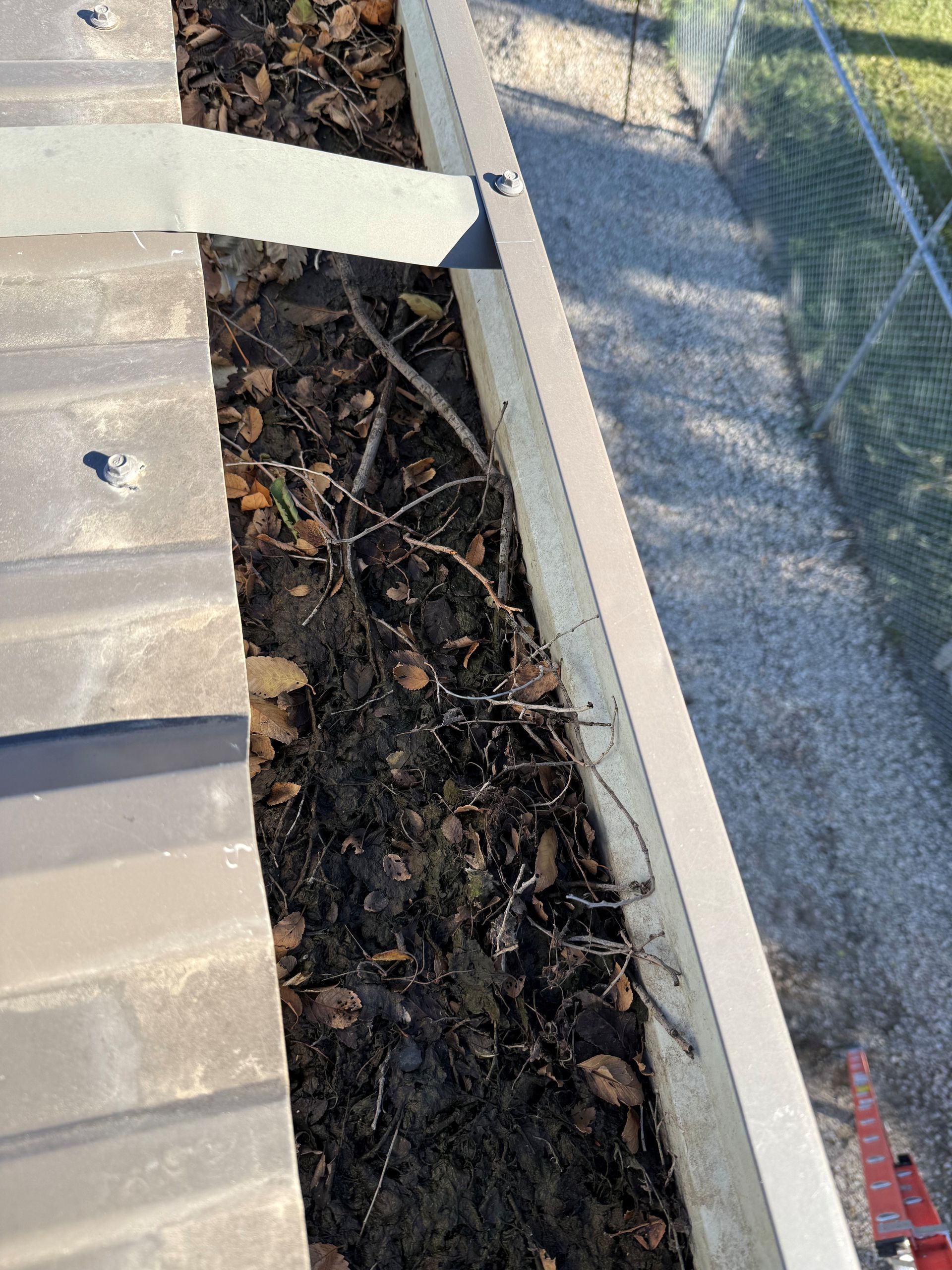 Gutter filled with leaves and debris on a metal roof, near a clear fence.