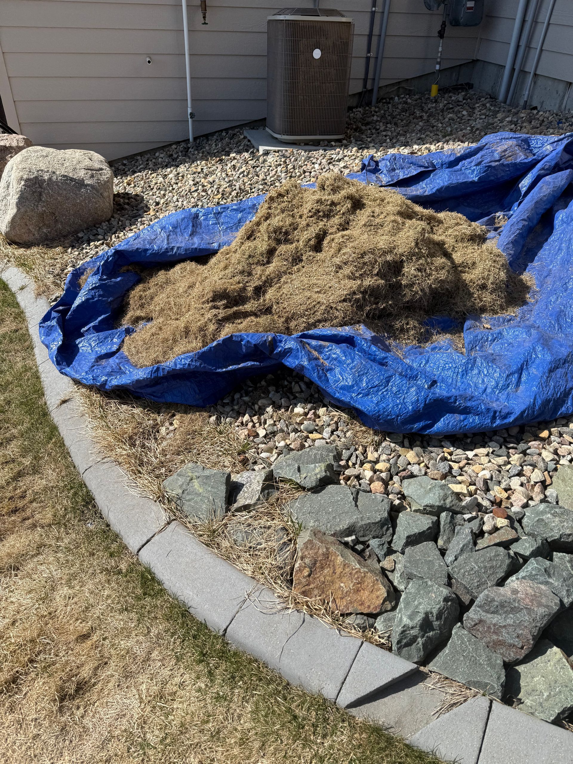 Pile of mulch on a blue tarp in a yard with landscaping rocks, near a concrete border.