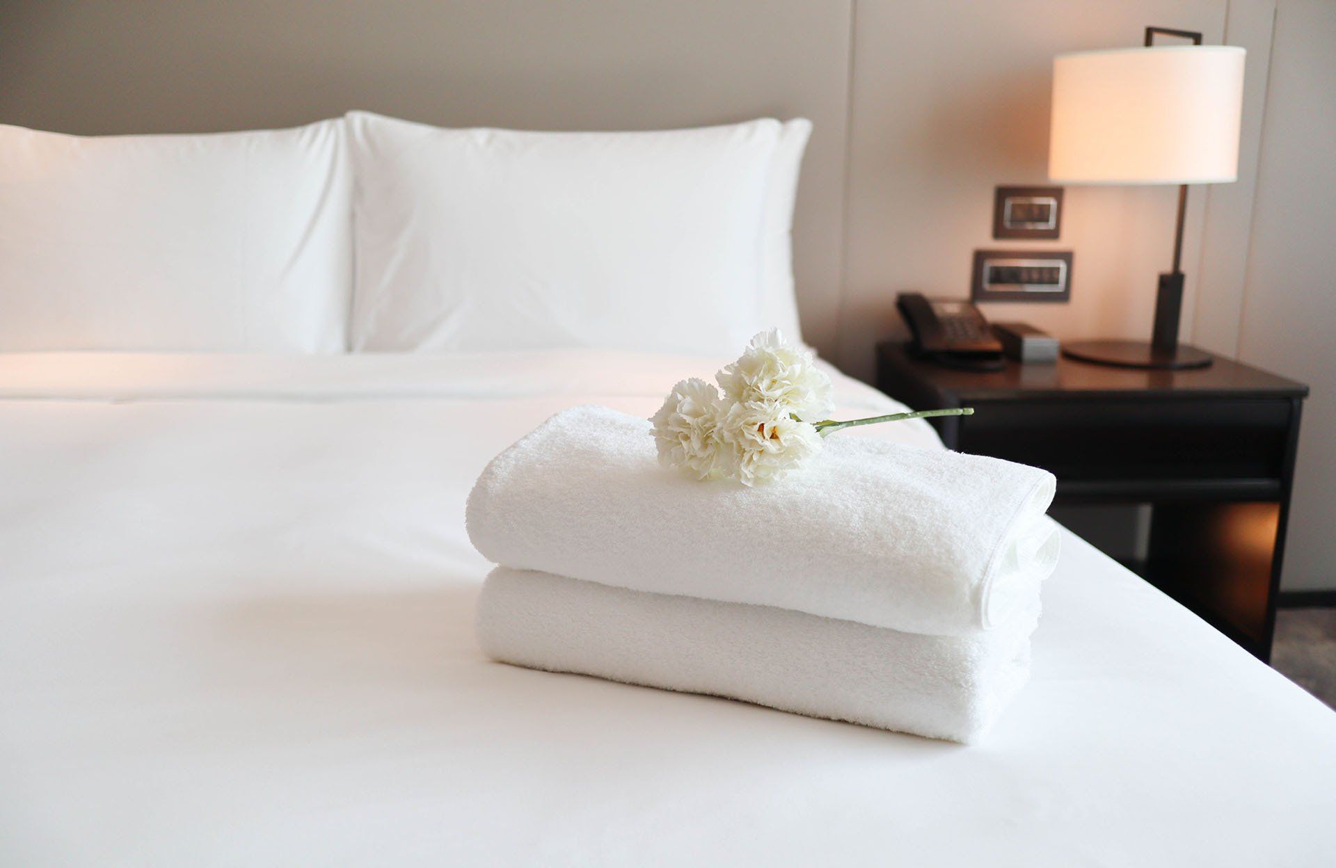 Hotel Bed — Columbus, IN — YES Pest Pros