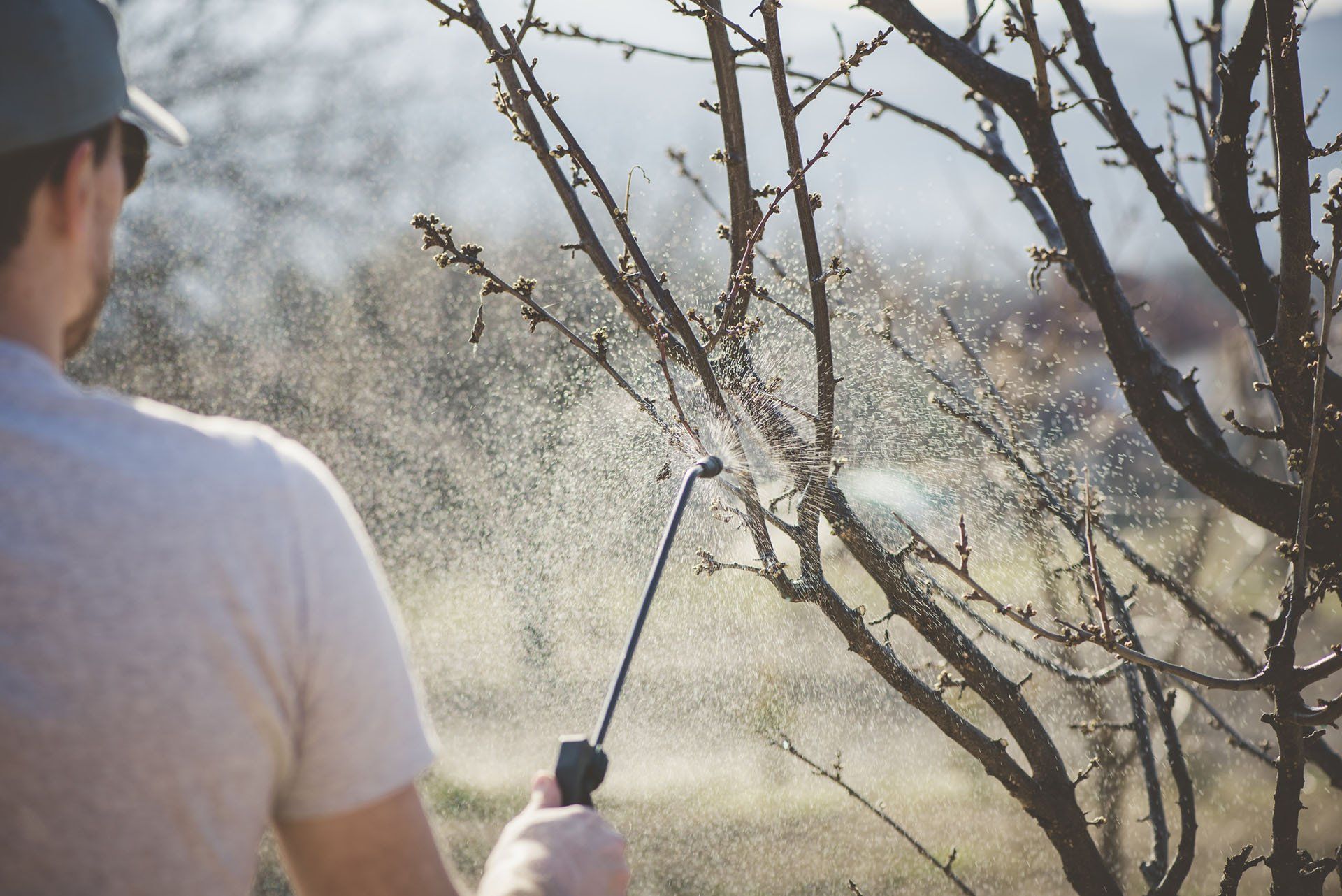 Man Spraying Insecticide — Columbus, IN — YES Pest Pros