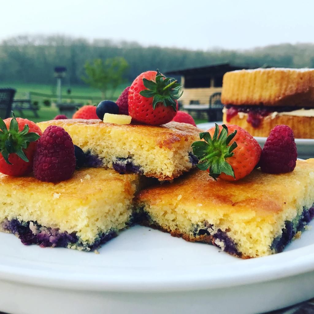 Things to Do in Dorset Country Holiday Breaks East Creech Farm