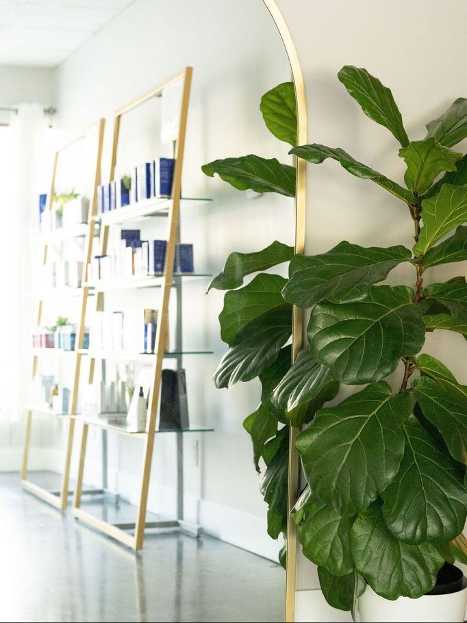 complete medical esthetics clinic