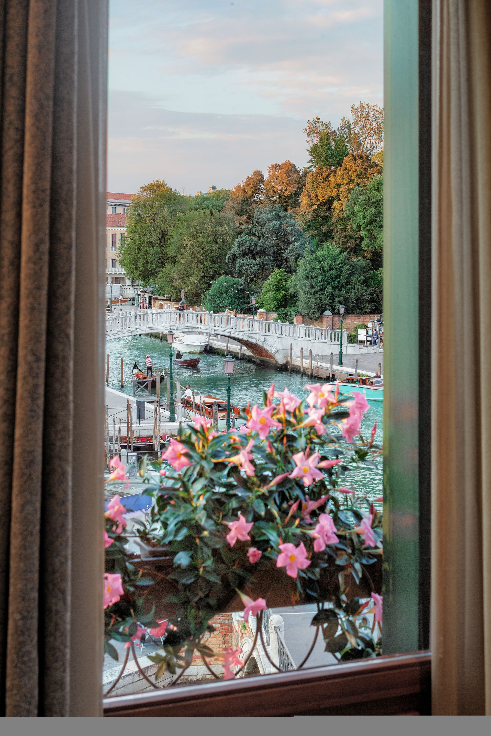 Window view of a canal with bridge, trees, and pink flowers in the foreground
