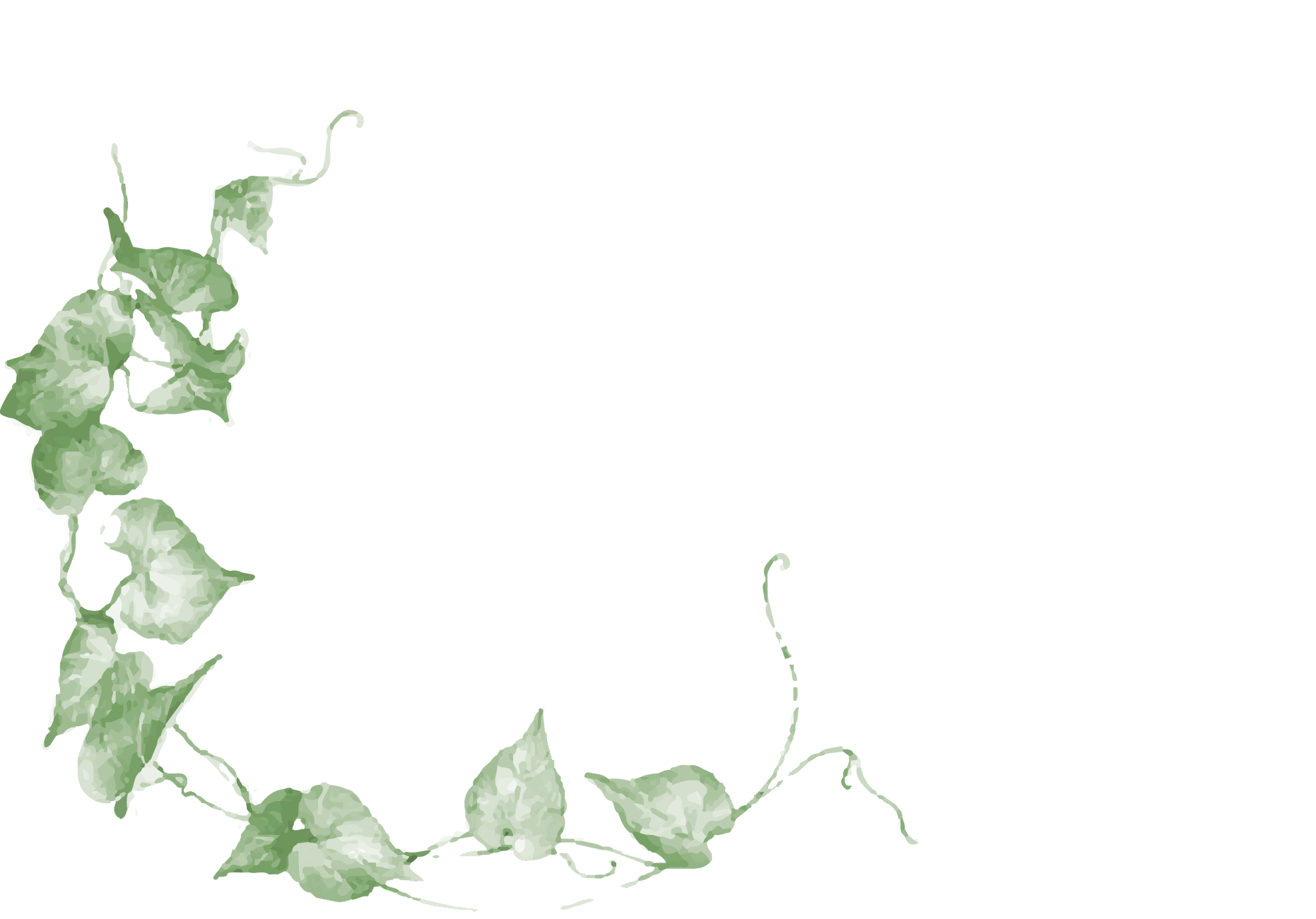 Logo Hotel Olimpia con una cornice di edera verde lungo i bordi sinistro e inferiore, su sfondo bianco