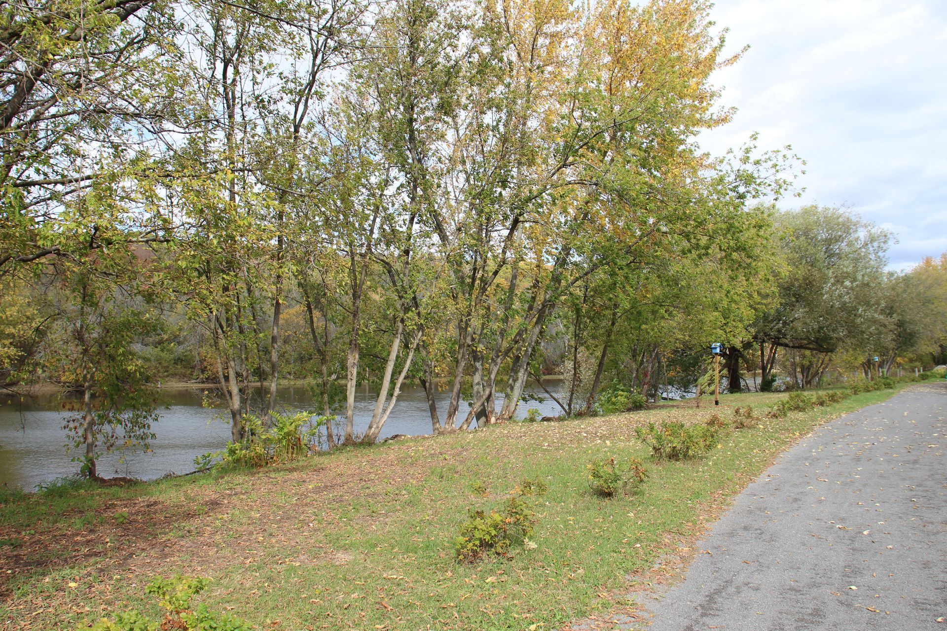 A gravel path runs beside a grassy bank and a river, lined with trees showing early autumn colors under a cloudy sky.