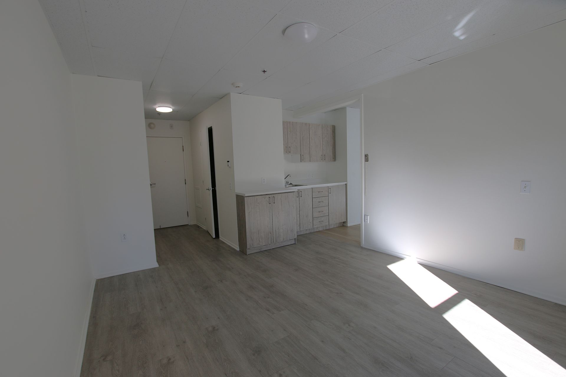 A bright, unfurnished apartment living area with light-colored wood flooring and a small kitchenette in the background.