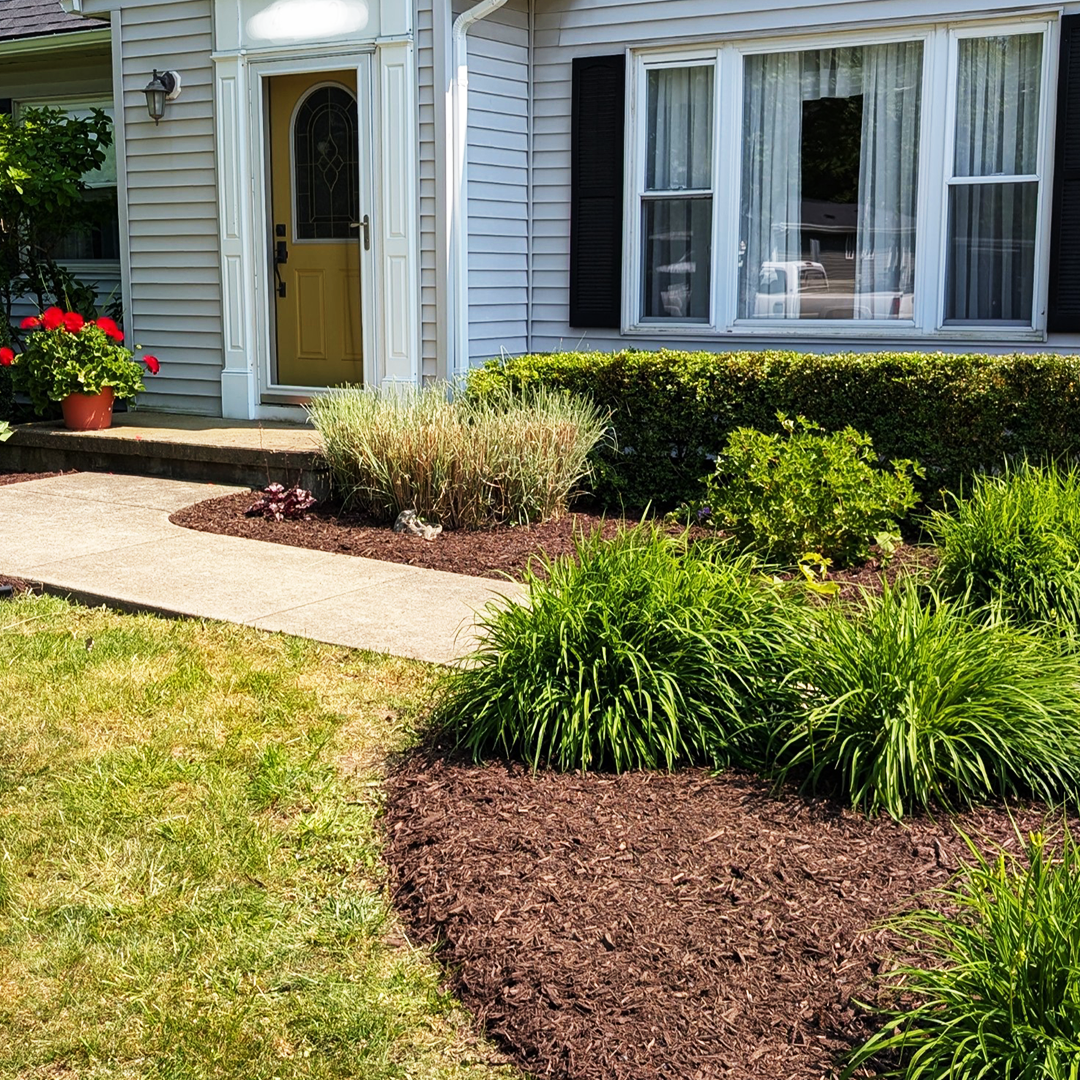 Landscaping Project 1 after