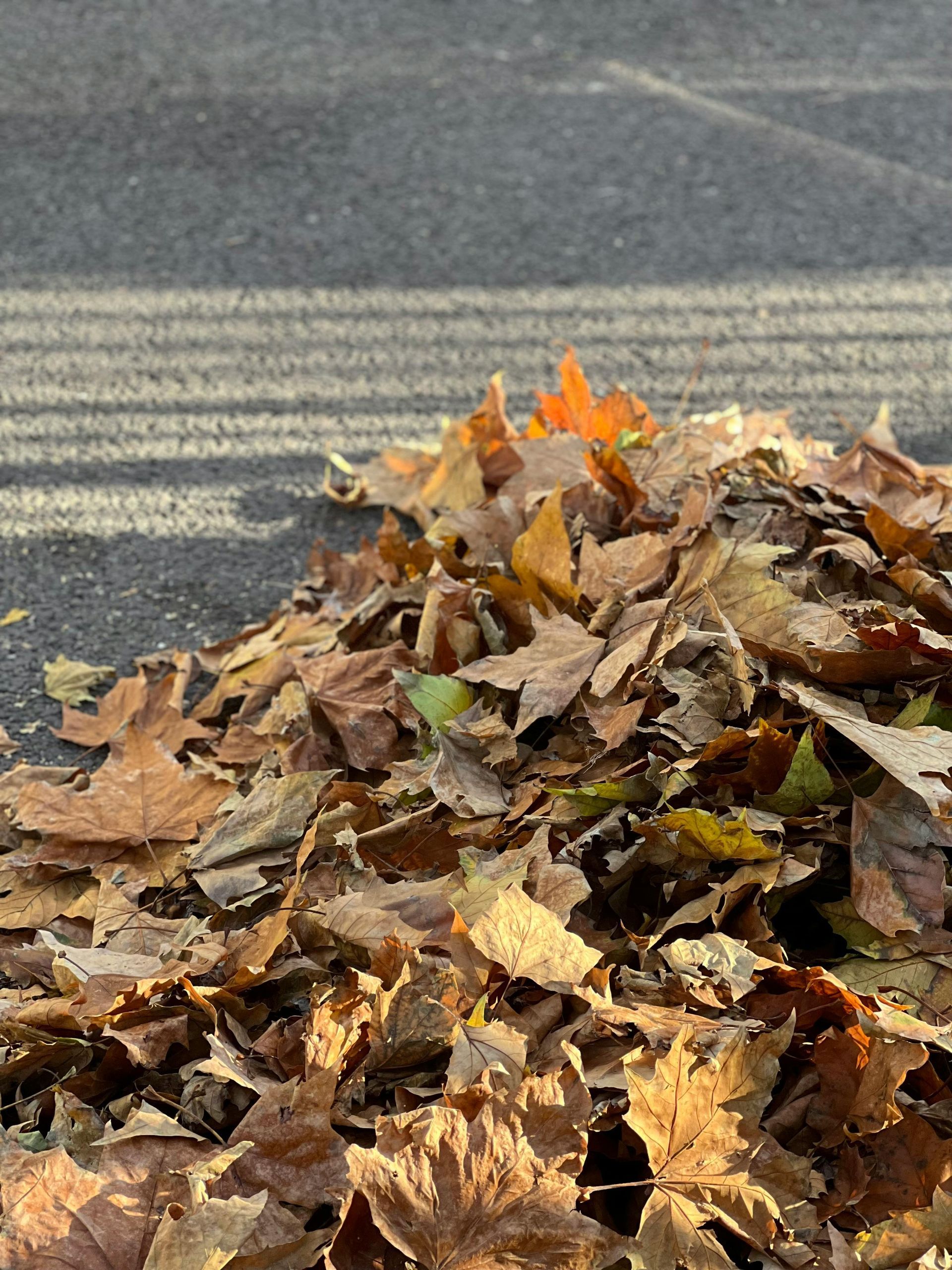 Premium Fairway mulch project