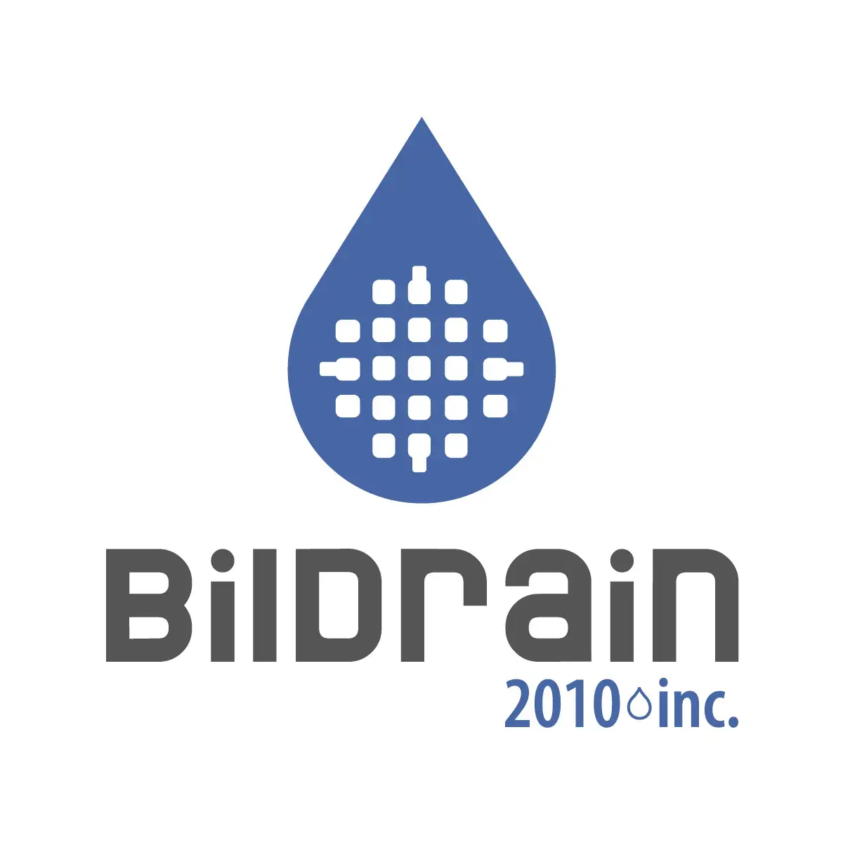 Un logo pour une entreprise appelée bildrain 2010 inc.