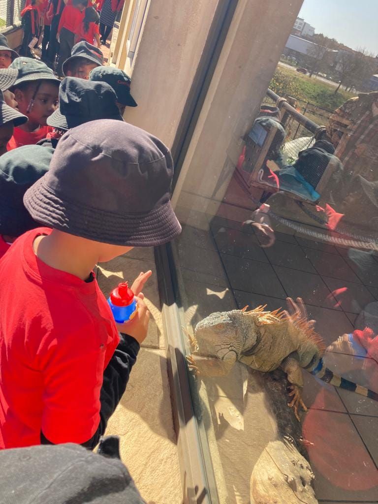 A group of children are looking at a lizard through a glass door.