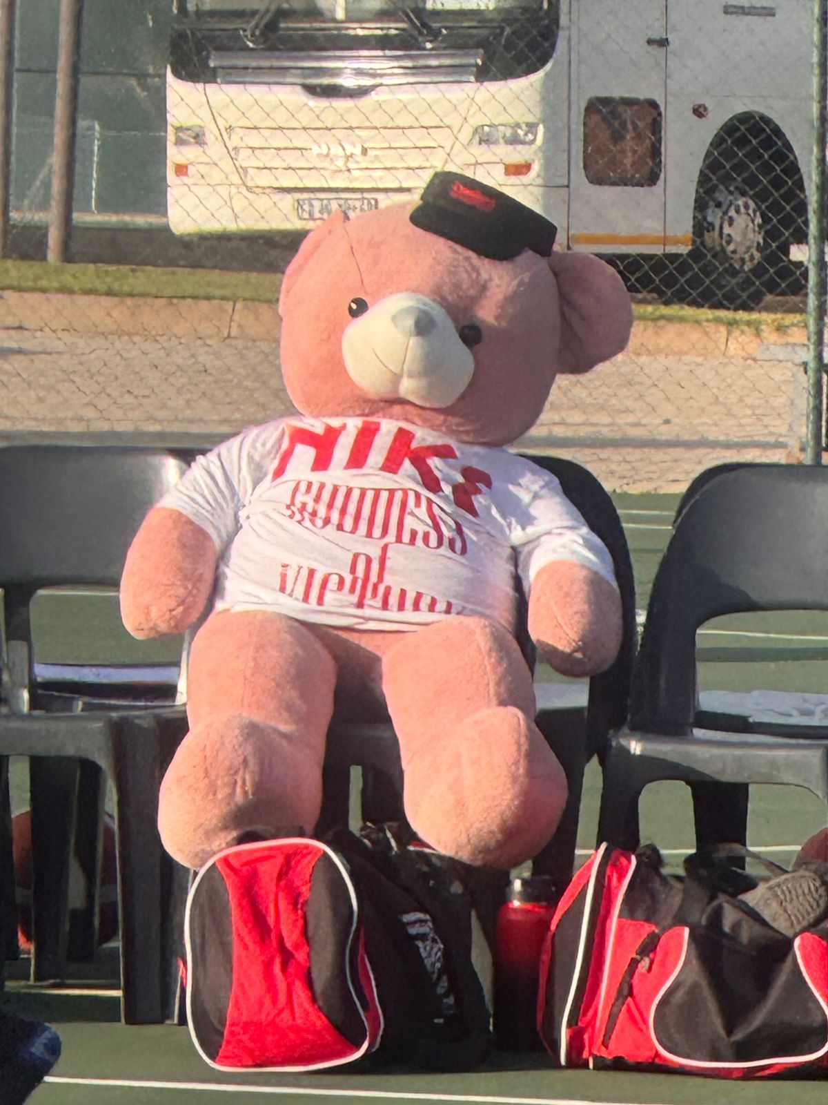 A teddy bear wearing a shirt that says niki on it