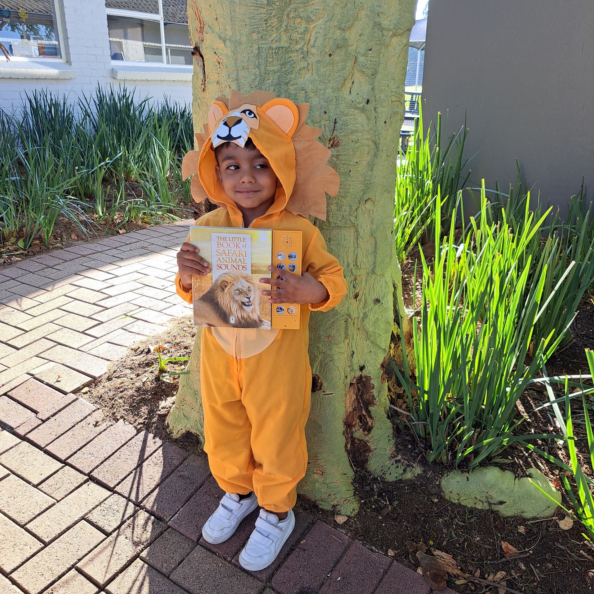 A little boy in a lion costume is holding a book