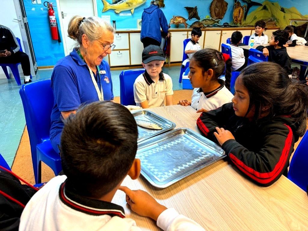 Children and an adult looking at objects on a table. Blue chairs, background is a classroom with educational displays.