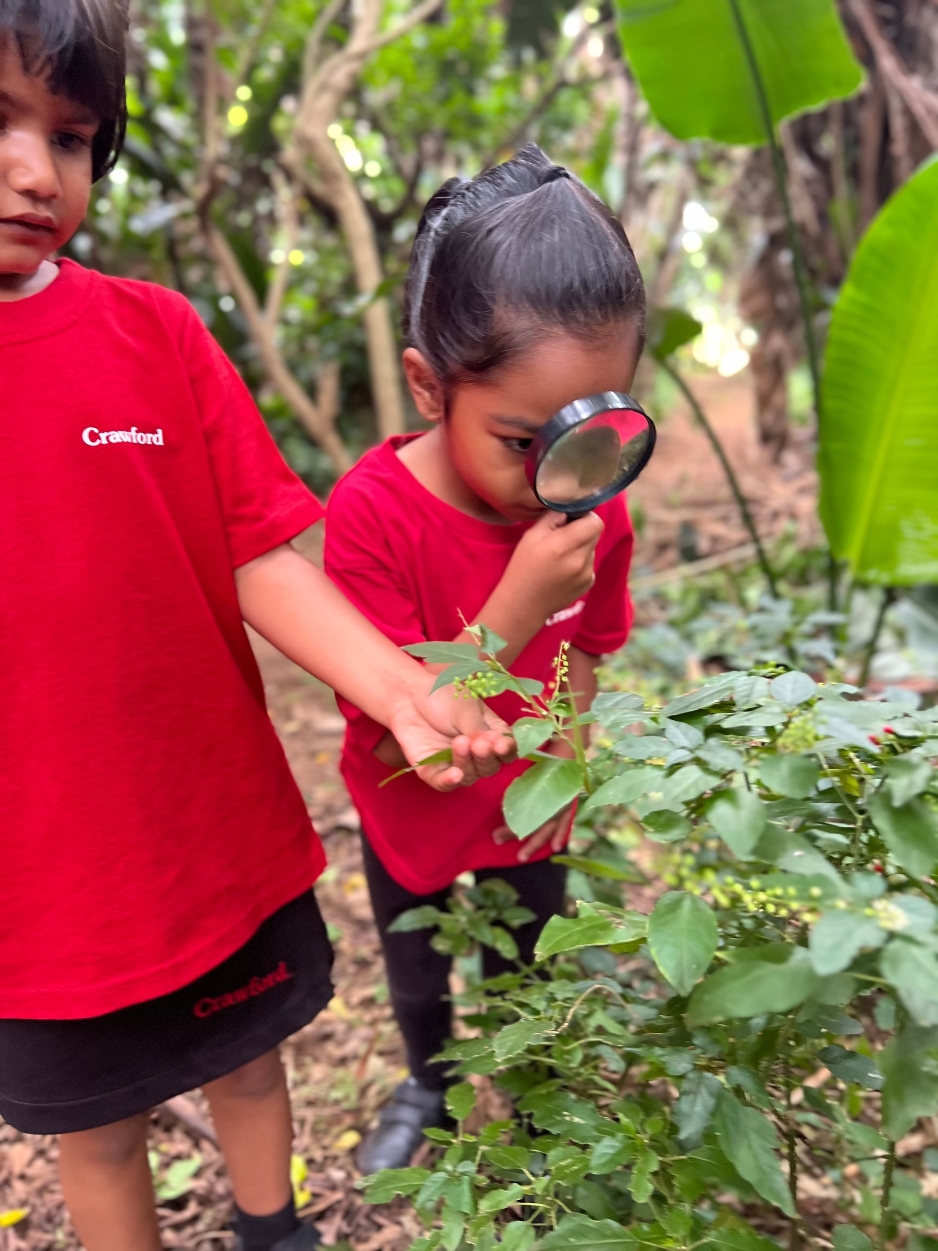 A boy and a girl are looking at a plant with a magnifying glass.
