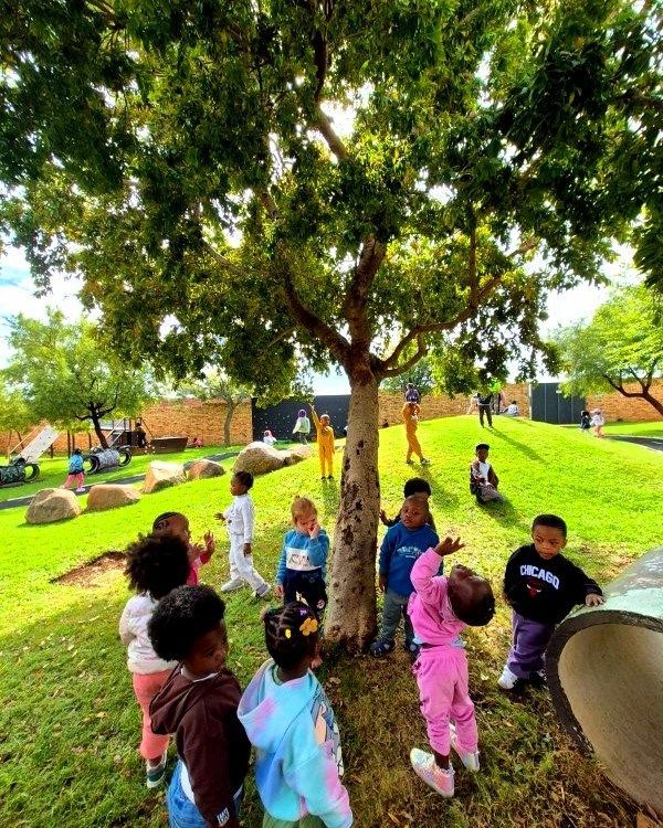 Children gather around a tree in a sunny park; some reach up. Green grass and other trees are visible.