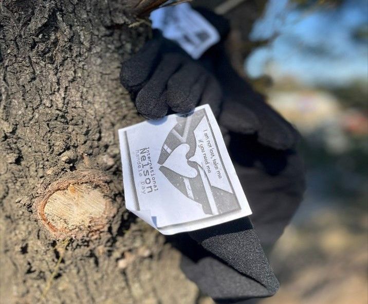 A person wearing black gloves is holding a tag on a tree