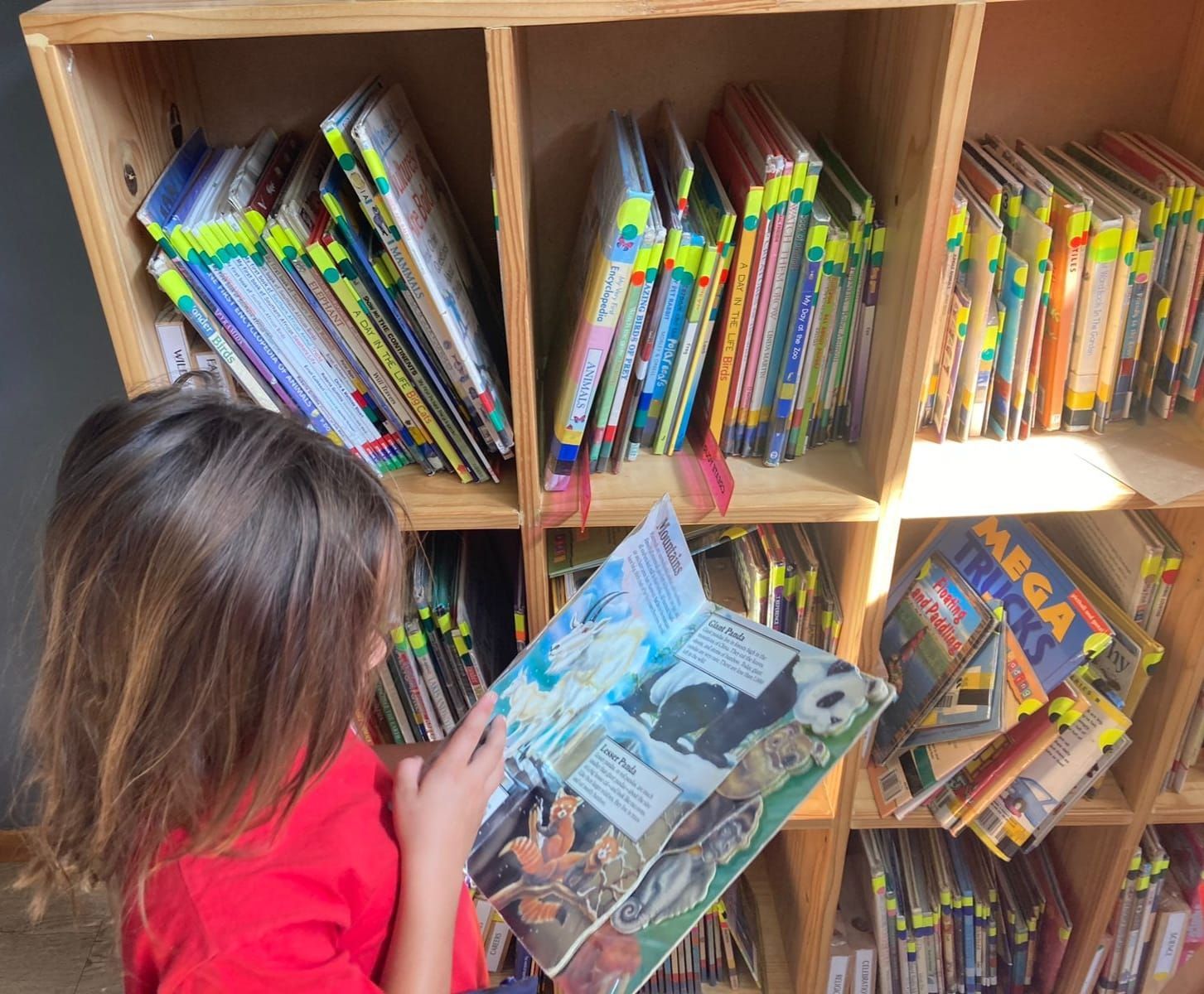 A little girl is reading a book called mega