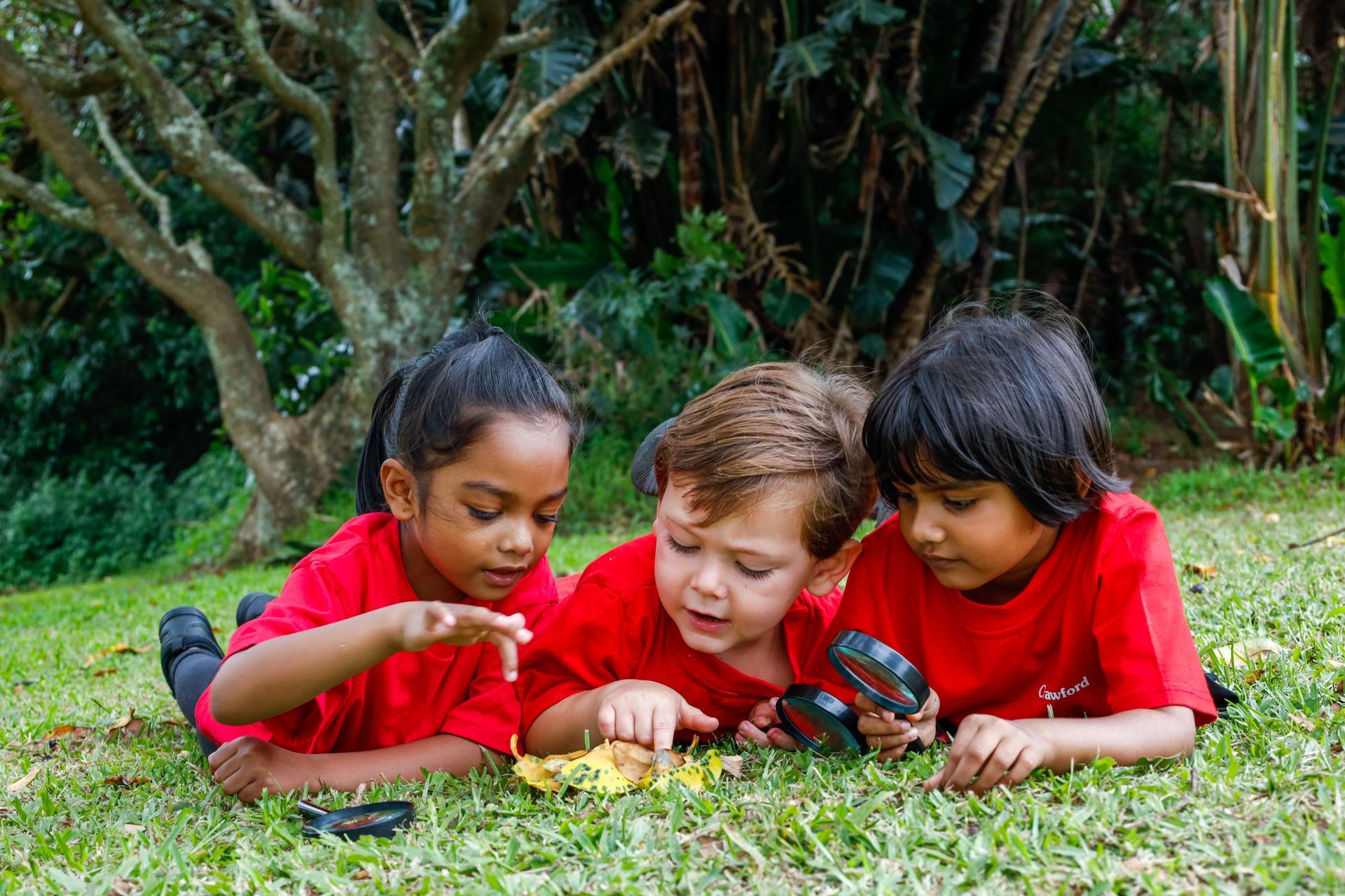 Three children are laying on the grass looking through magnifying glasses.