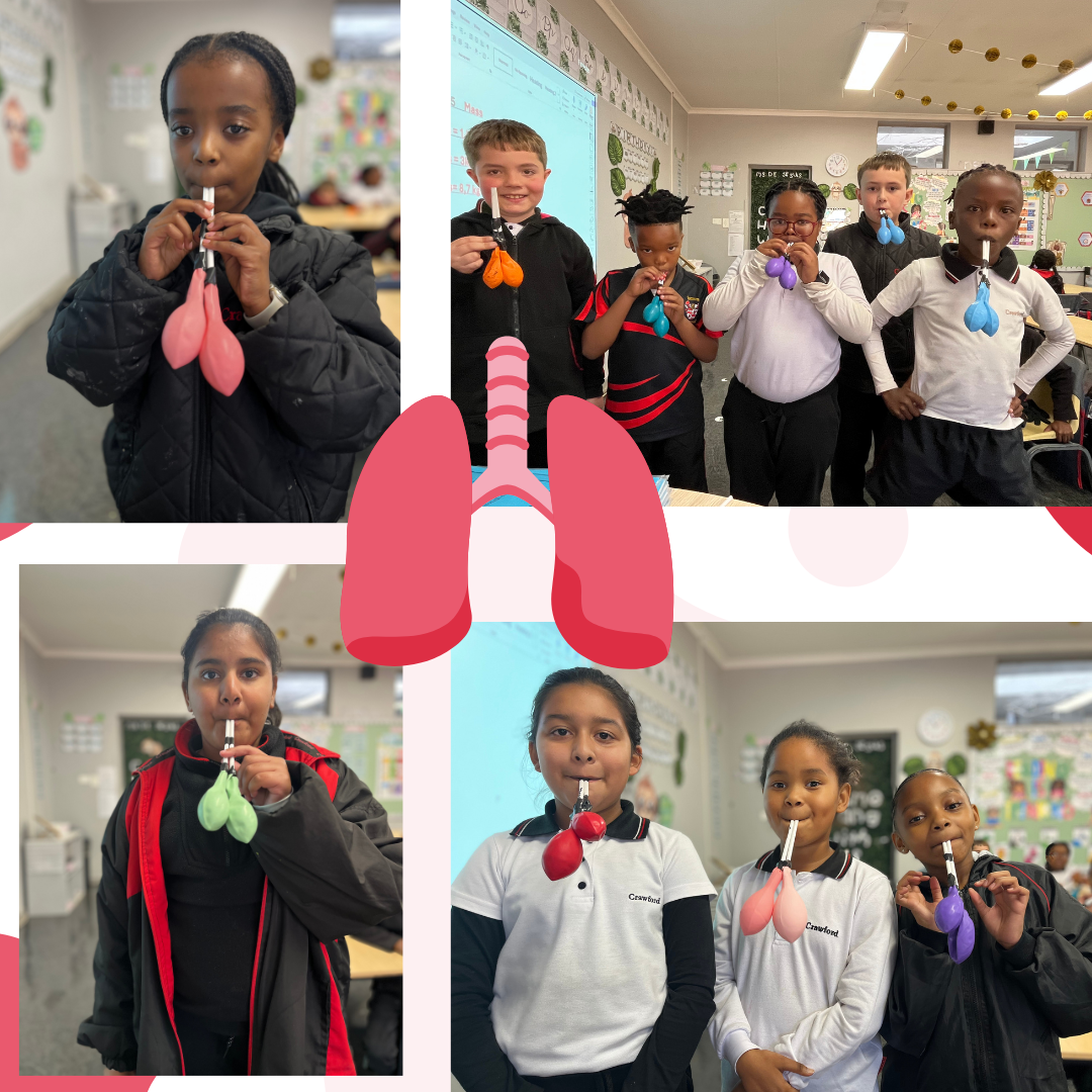 Students blowing into toy lungs in a classroom.