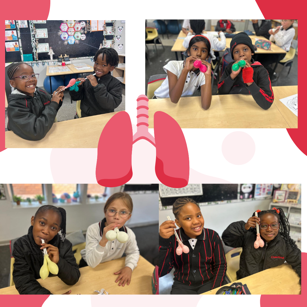 Students in a classroom experiment with model lungs. Children are smiling and holding lung models, simulating breathing.
