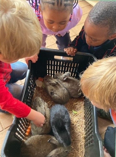 A group of children are looking at rabbits in a crate.