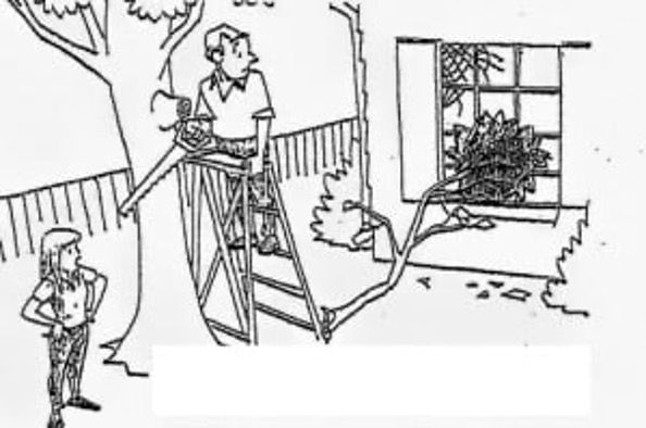 Don't take chances - hire a professional tree service in Allentown, Bethlehem, and surrounding area