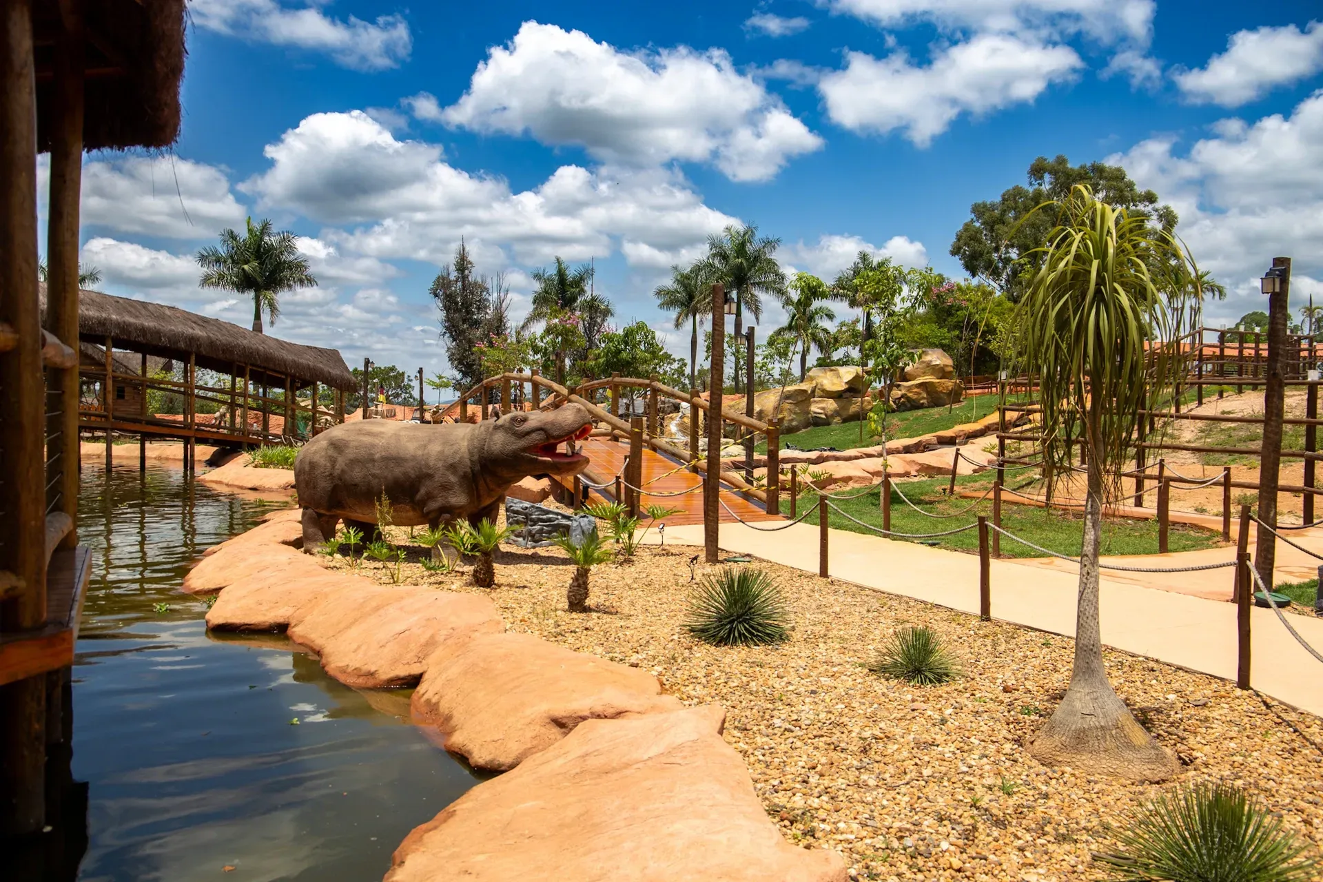 Safari Avestruz - Parque do Avestruz Eco Resort