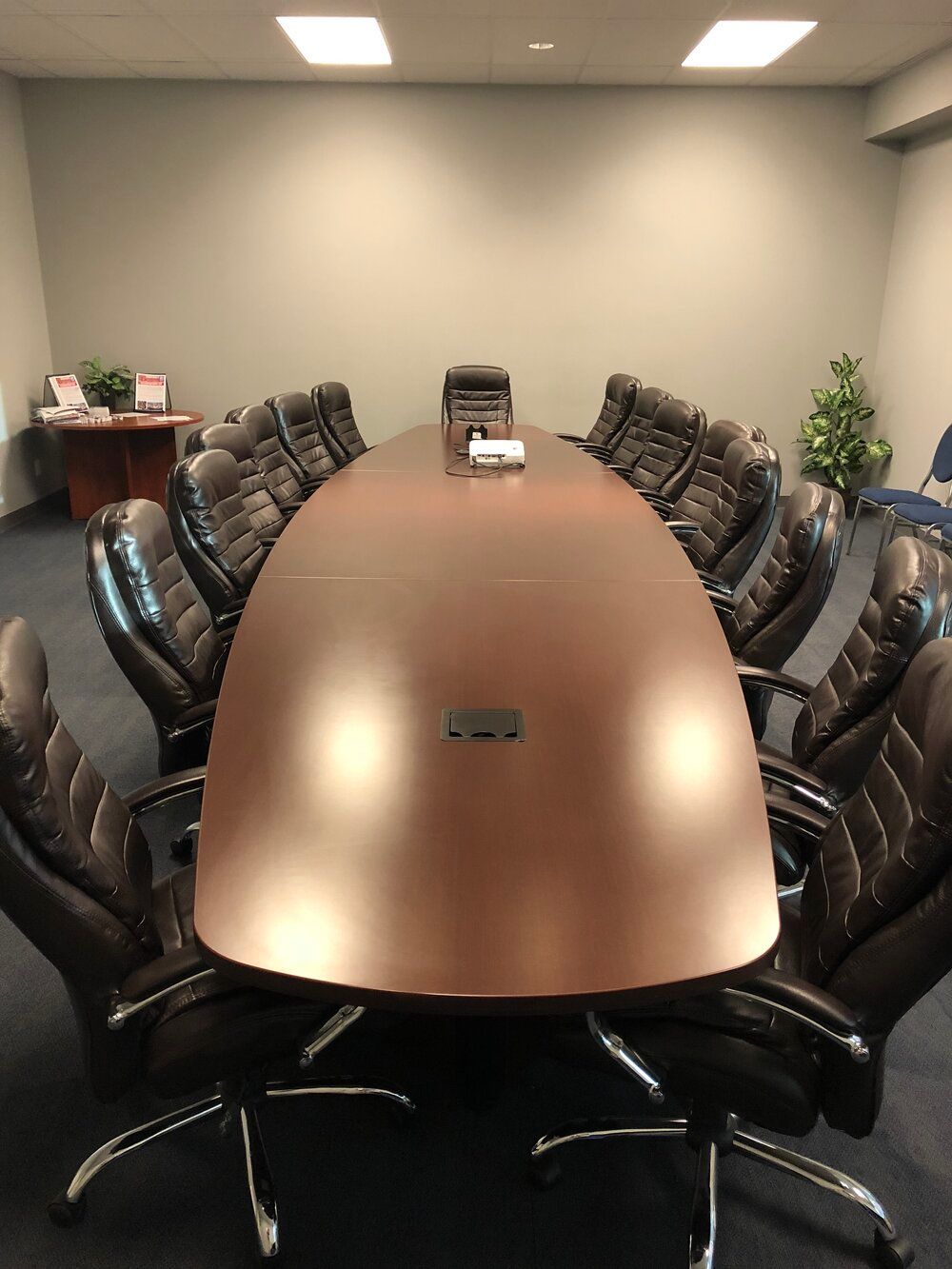 Conference room with a long oval table, black leather chairs, and a small plant in the corner.