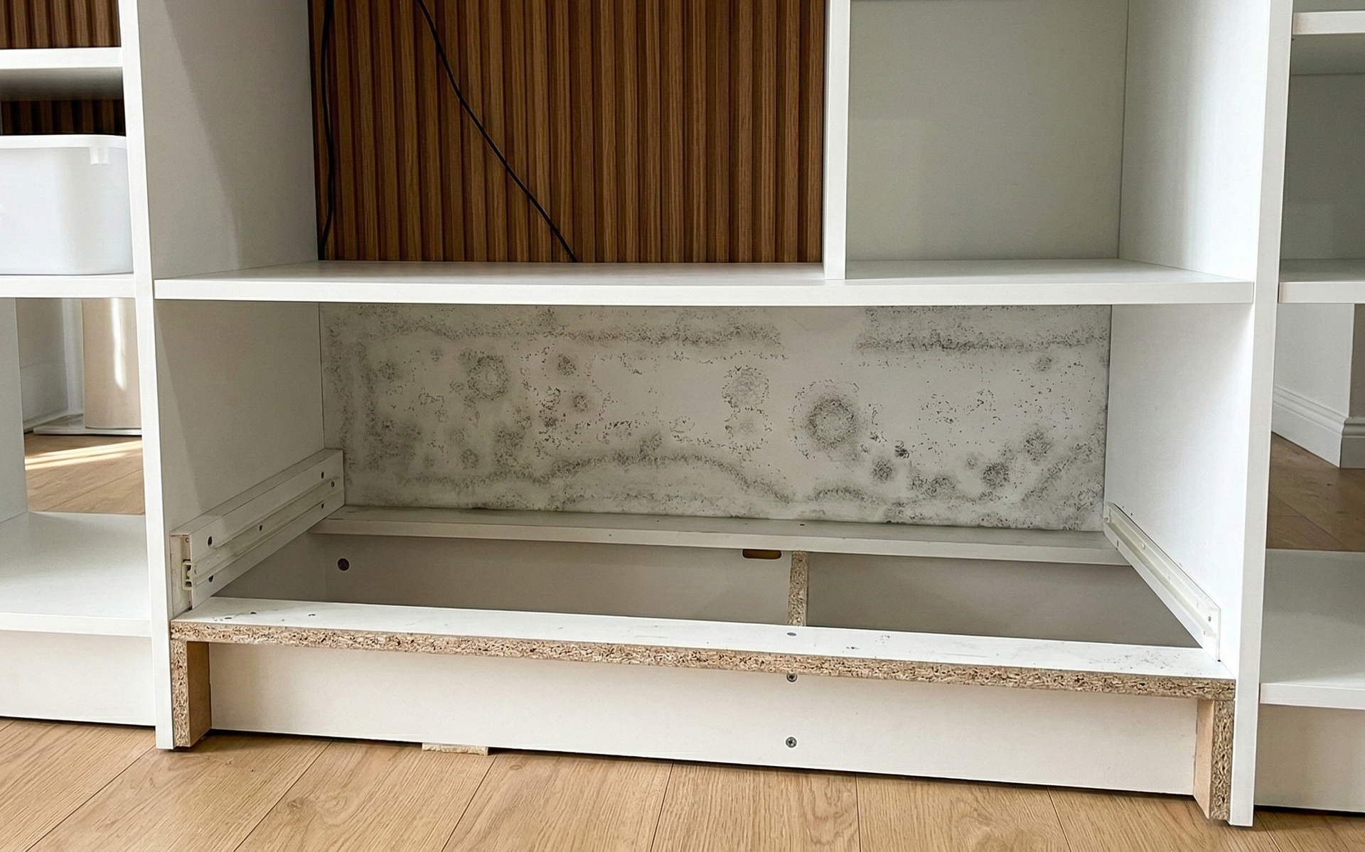 Close-up of white wooden shelving with visible dark mold spots on the back panel of an open lower compartment.