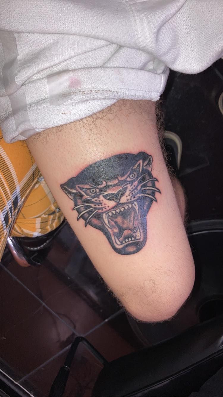 Black panther head tattoo on an arm, with open jaws, set indoors.