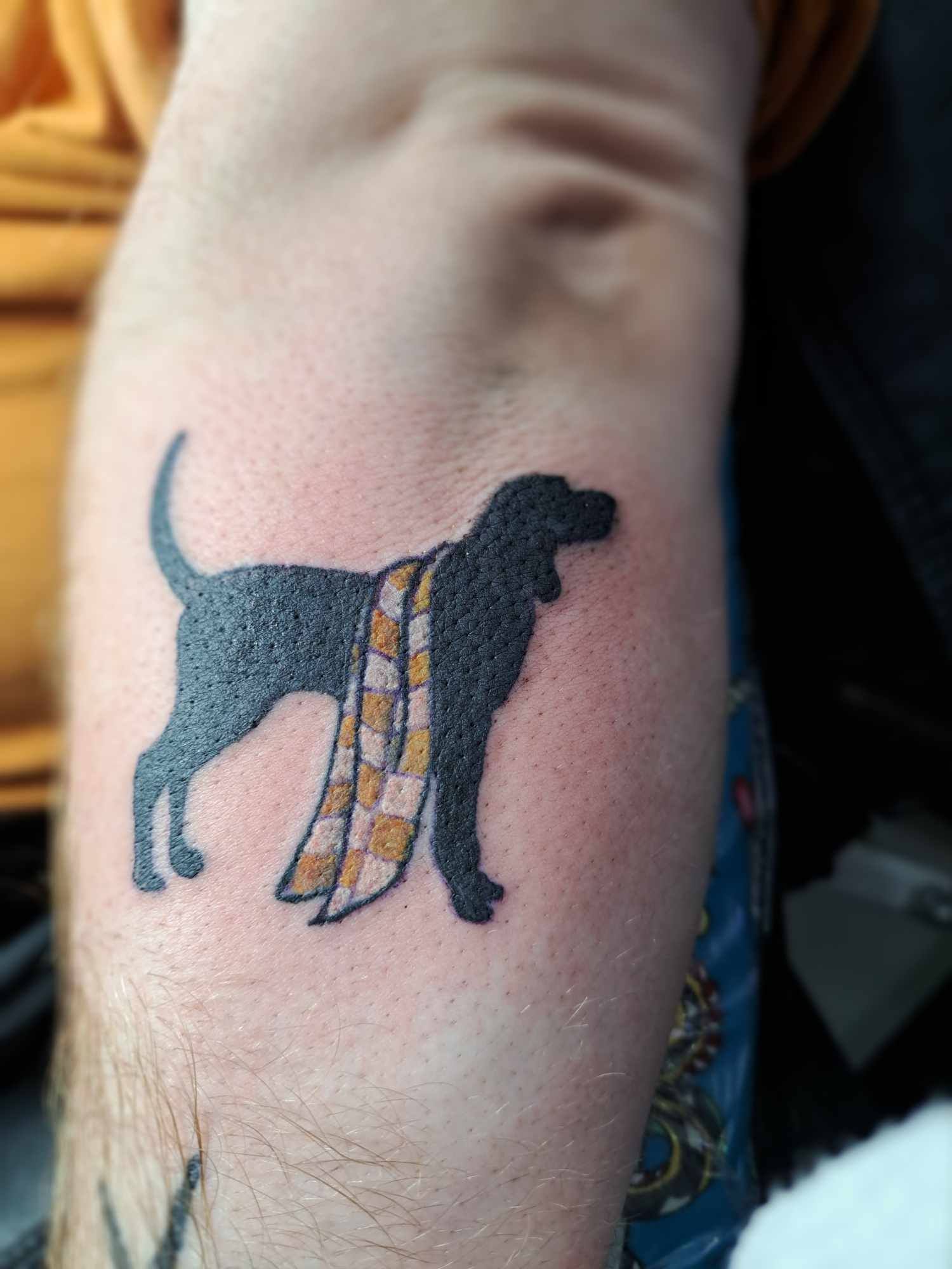 Tattoo of a black dog wearing a yellow and tan plaid scarf on a forearm.