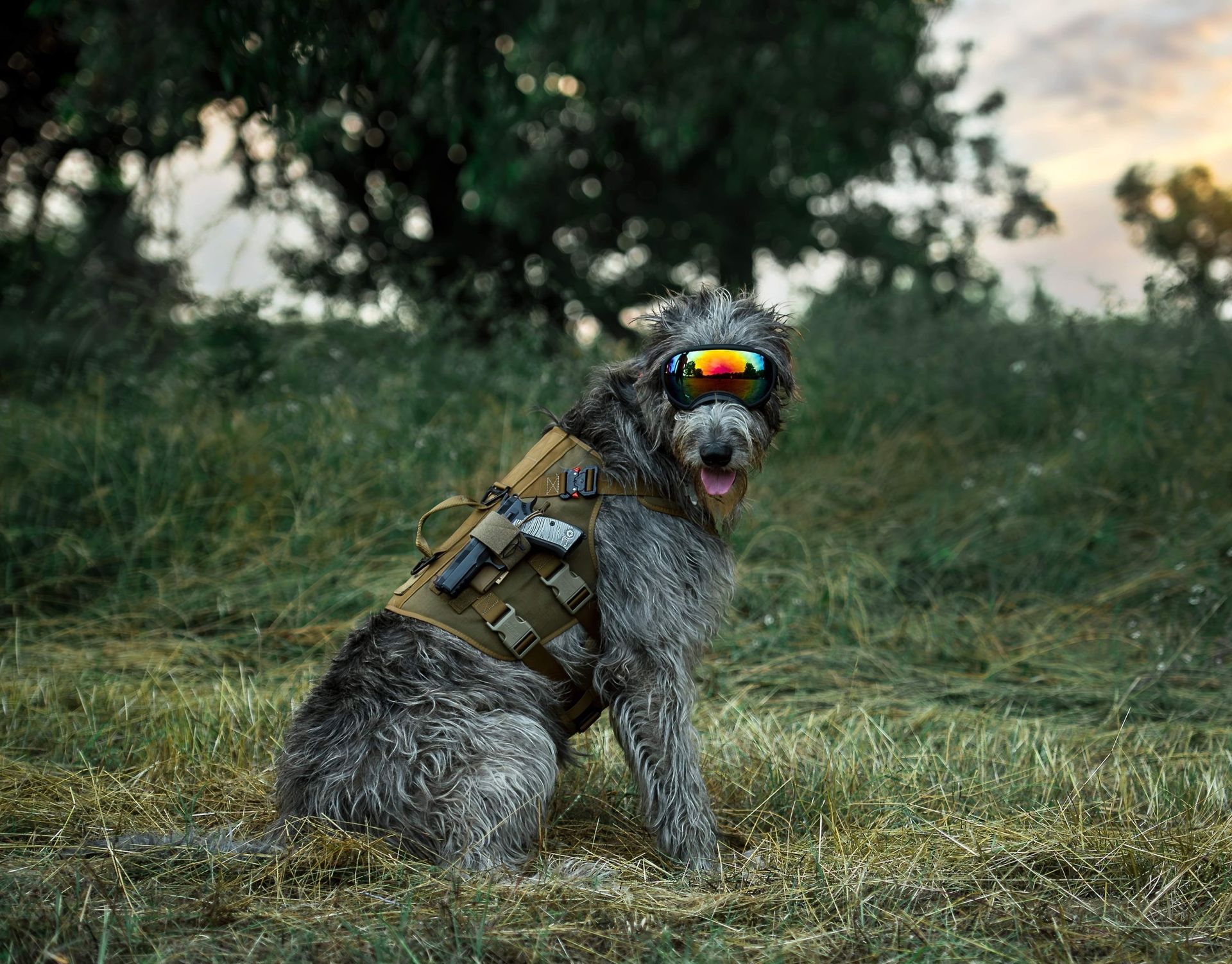 K9-Dog-Security-Ready for battle-gunslinger-bark-furry friends-Armed to the teeth