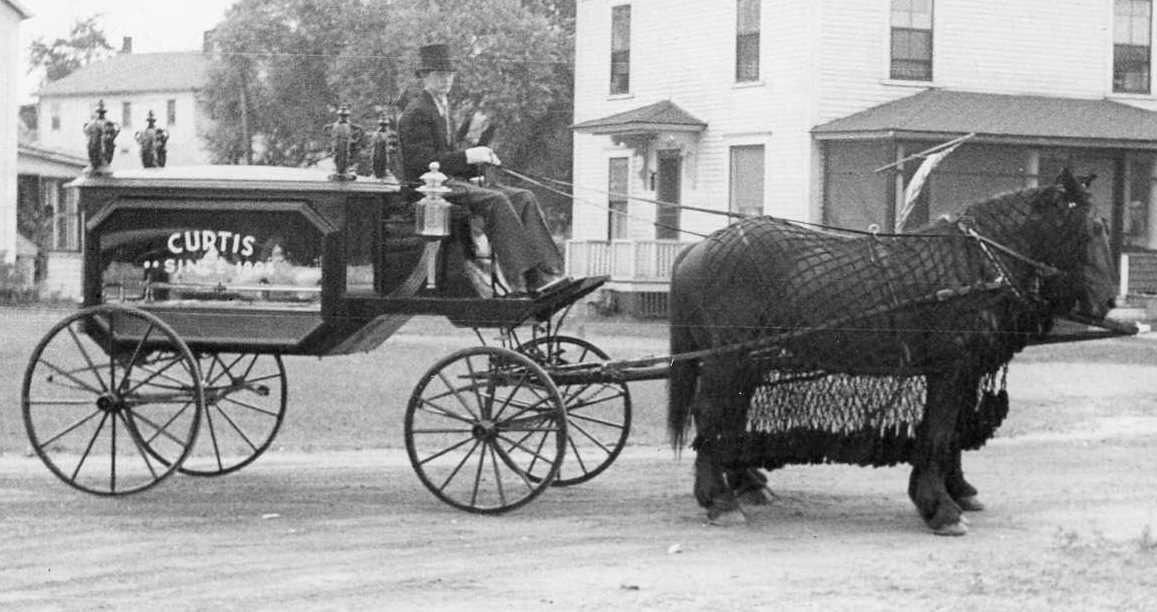 Horse-drawn buggy with driver on a street, pulled by a large ox or bear-like animal