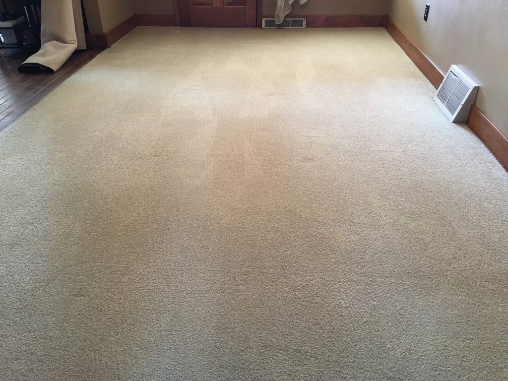 Carpet after professional cleaning showing even color, restored texture, and improved overall appearance