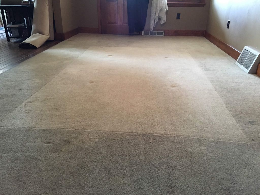 Carpet after professional cleaning showing clearly defined cleaned area and improved overall appearance