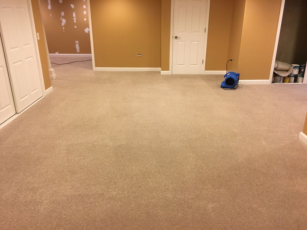 Basement carpet after professional carpet cleaning showing even color and refreshed appearance