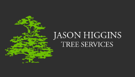 Jason Higgins Tree Services Limited Jason Higgins Tree Services Ltd