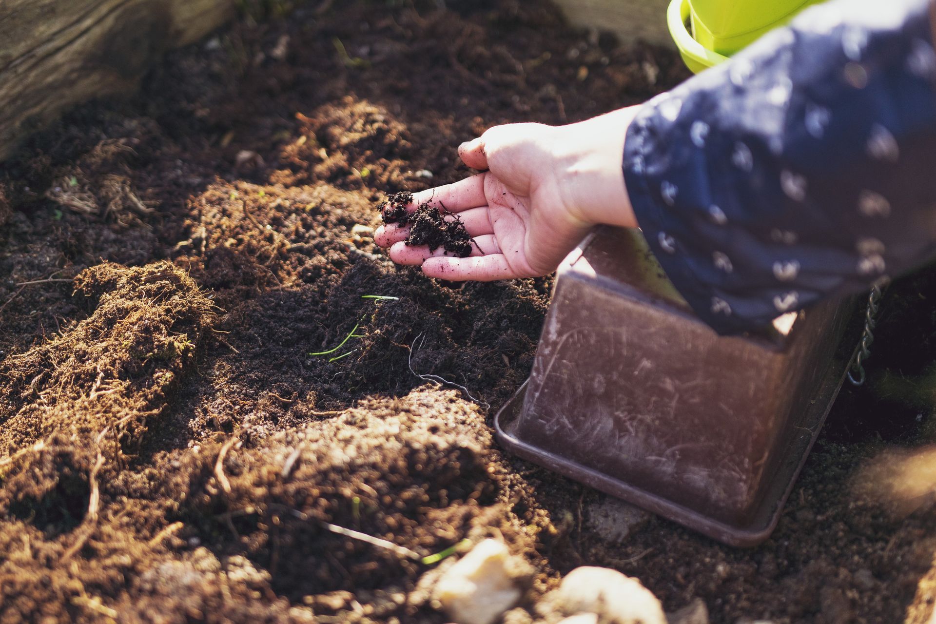 Marzo: Giardino pronto per la primavera: le soluzioni di Brico Io Malatini per una cura impeccabile