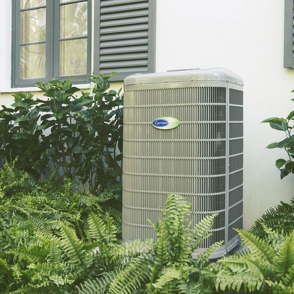 Outdoor air conditioner unit beside a house, surrounded by green shrubs and ferns
